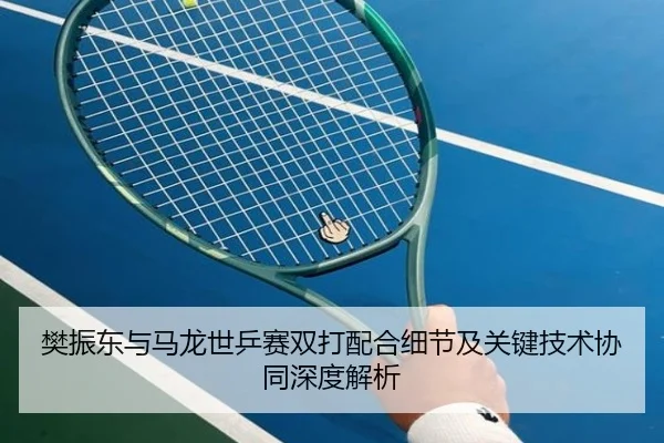 樊振东与马龙世乒赛双打配合细节及关键技术协同深度解析（Baobo）